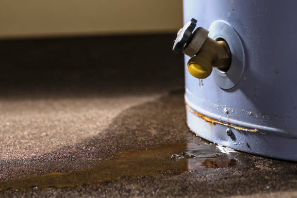 Water damage restoration experts in FL