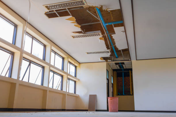 Best Local water damage restoration  in Tavernier, FL