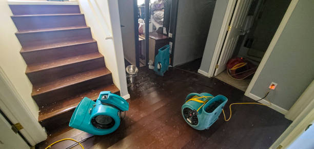 Best Water damage cleanup near me  in Tavernier, FL