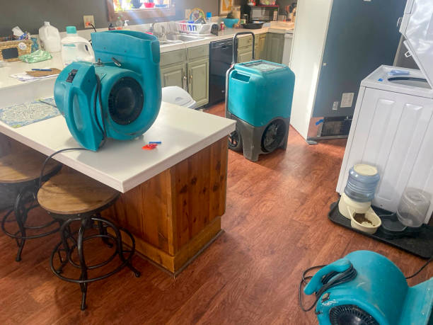 Best Water damage restoration near me  in Tavernier, FL