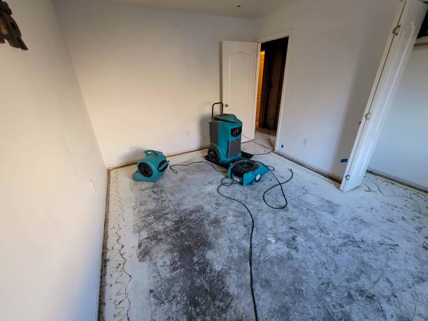 Best Carpet water damage restoration  in Tavernier, FL