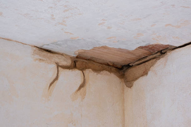 Best Fire Damage Restoration  in Tavernier, FL