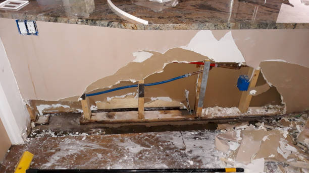  Tavernier, FL Water damage restoration Pros