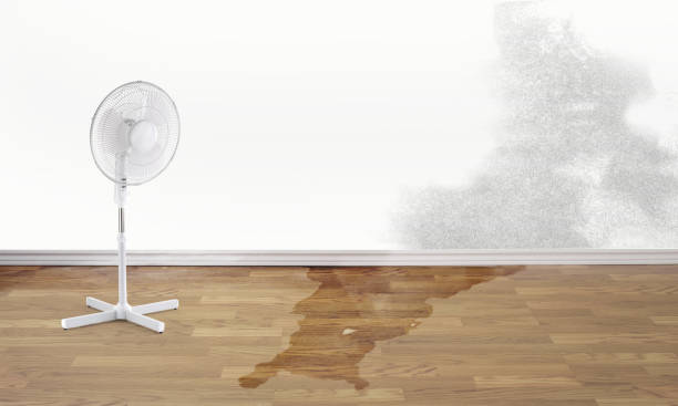 Best Fire Damage Restoration  in Tavernier, FL
