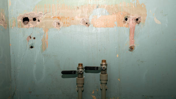 Best Water damage restoration cost  in Tavernier, FL