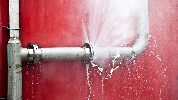 Best 24/7 water damage repair  in Tavernier, FL