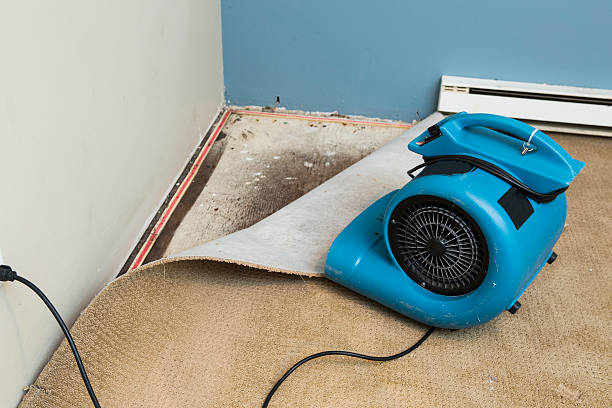 Best Flooded house restoration  in Tavernier, FL